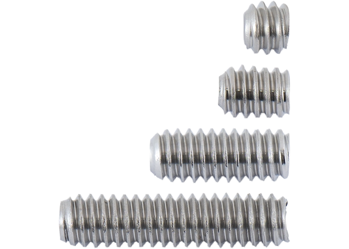 disc_weight_screw_kit_silver