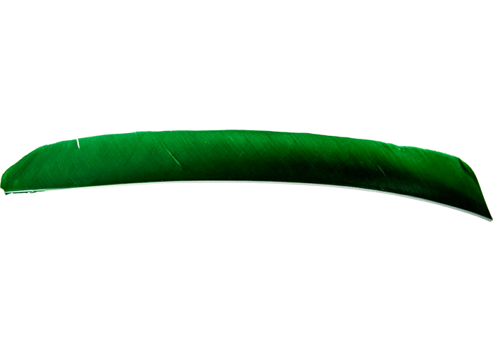 feathers_full_length_darkgreen