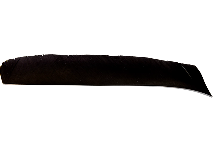 feathers_full_length_gray