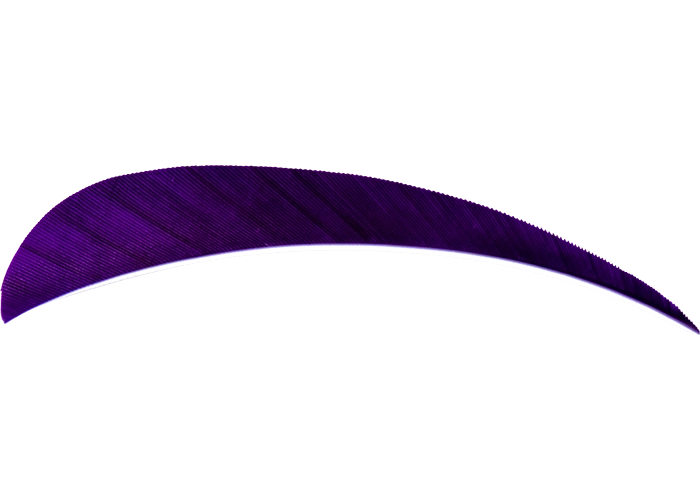 feathers_round_purple