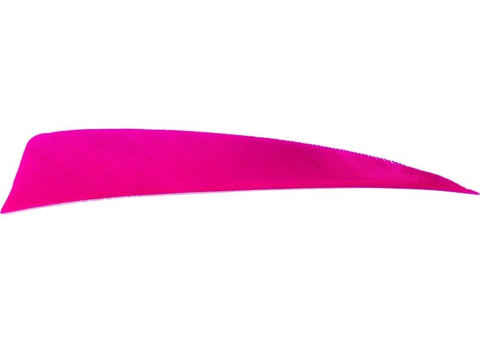 feathers_shield_pink